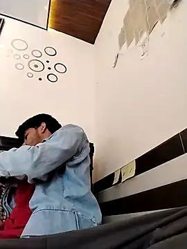 Wild_Vassuのウェブカメラショー