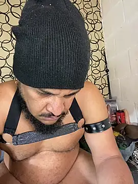 Pokazy przed kamerką – the_master_foal_