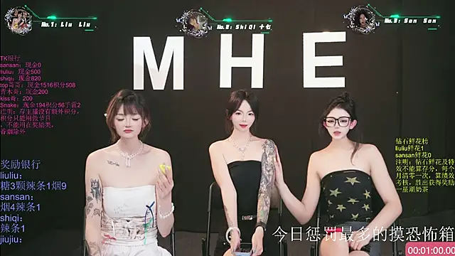 Show Webcam de MHe-002