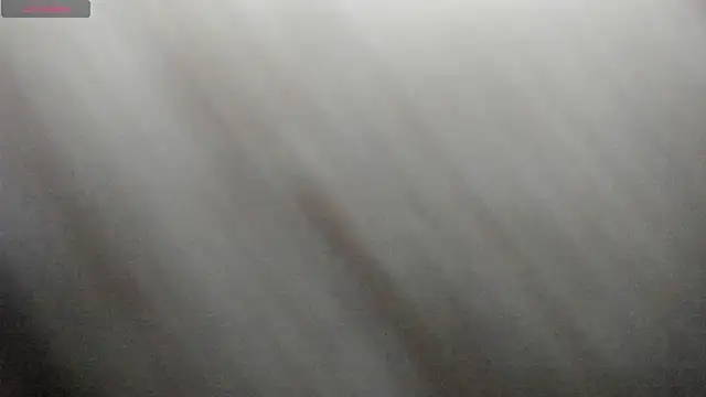 Chatroom XXX en direct de emily_palmeer