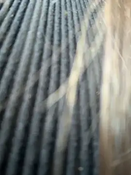 KristiRich Live XXX-chat