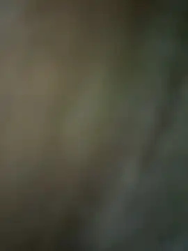 Michelledial Live XXX-chat