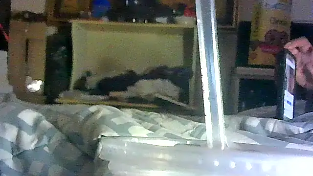 دردشة GUAPAN3S3_FIR3 الجنسية المباشرة