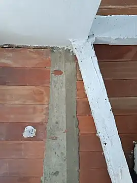 Cataleya_ja: онлайн-секс-чат