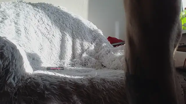 TechnoJesus: απευθείας συνομιλία ΧΧΧ