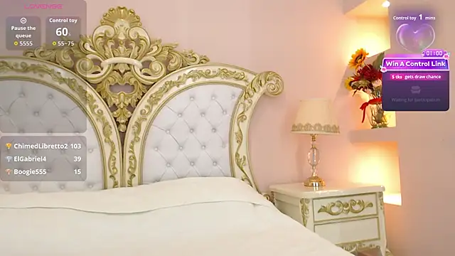 Show modela LizyOwen na web-kameri