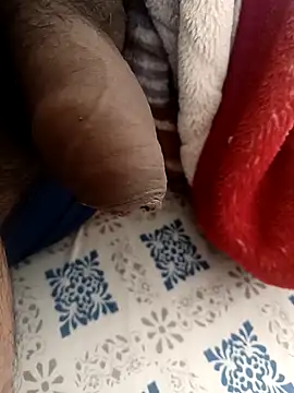 Show webcam de lensvsl