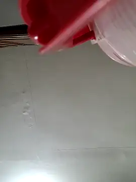 Scarlet_curly8a: онлайн-секс-чат