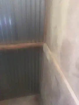 DWildB Pertunjukan Webcam