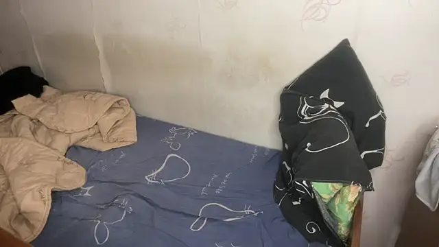 Jeycob_ice: вебкам-шоу