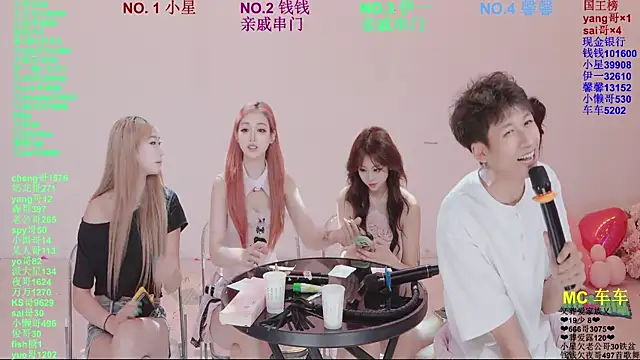 ZZ00033S Show Webcam