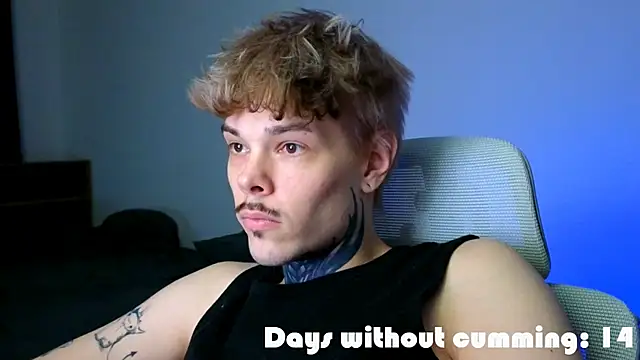 Show Webcam de DENIS_HERE