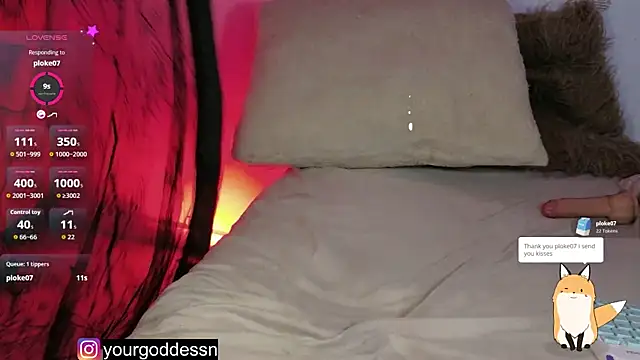 belashimaa Live XXX-chat