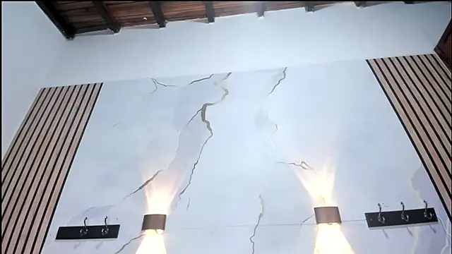 DilanAndKing 网络视讯表演