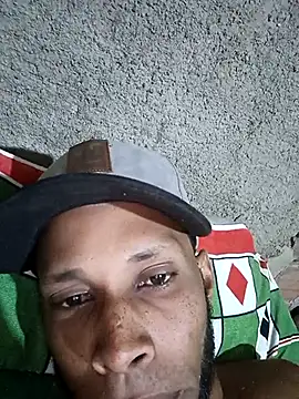 Sur1711n Webbikameraesitys