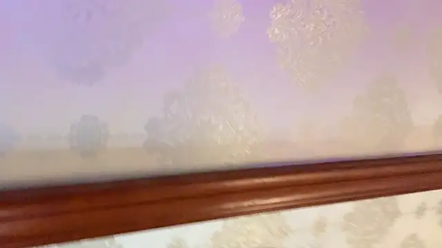 thelittlexx 即時 XXX 聊天