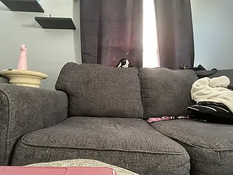 Pertunjukan Kamera Web AmalaHexx