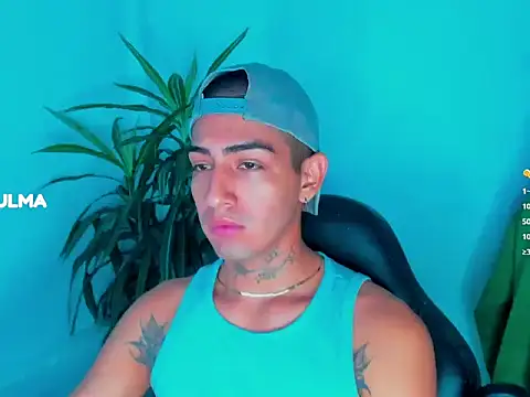 litz81n Webbikameraesitys