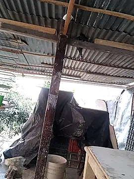 hoteder 在線直播表演