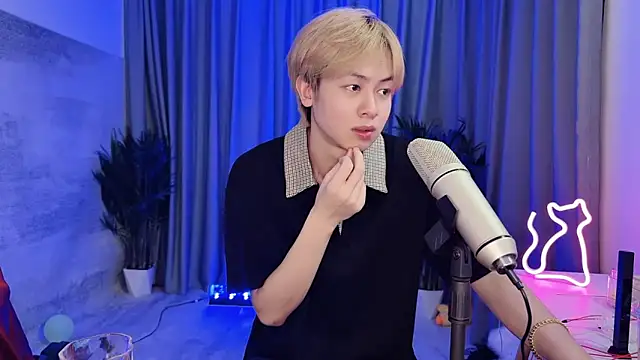 Show webcam de hafabva