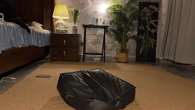 meowLili's Webcam Show