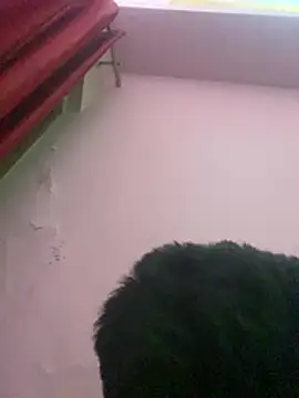 Chat XXX Live MASTTERRR