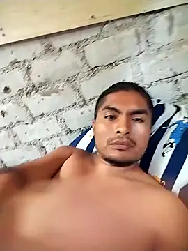 Crashsolitario Pertunjukan Webcam