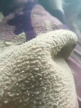 عرض كام hrrounsb99