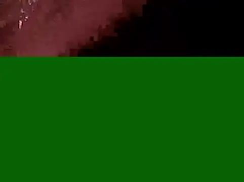 Show webcam de BlueCollarCouple