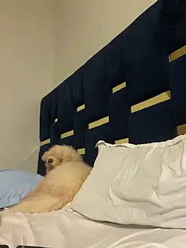 Dellah27 即時 XXX 聊天