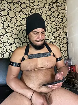 عرض كام the_master_foal_