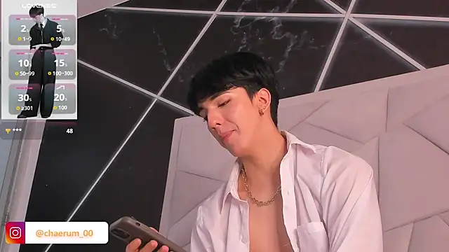 Show Webcam de AerumChae