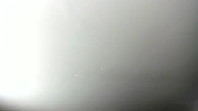 Ebonybreastvh Live XXX-Chat