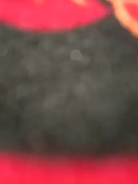 Show webcam de Nandani-758