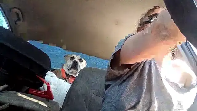 Chat XXX ao vivo de SexyB214