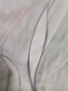 svnqueen Obrolan Langsung XXX