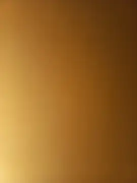 ALLDOMX Show in webcam