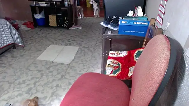 Živý XXX chat Barbiegomez