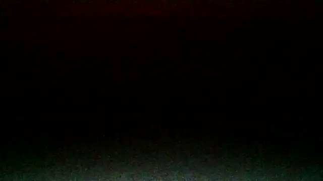 Werknjerkn's Webcam Show