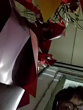 Q24Q- Pertunjukan Webcam