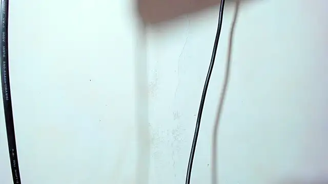 ZeusBrant webcam show