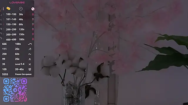 Show Webcam de HannaHayles