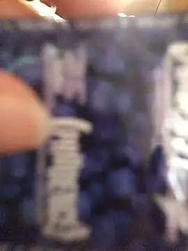 Show webcam de 3littles