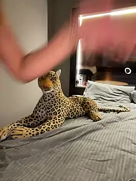 Hannah-2007 – Kamerová šou