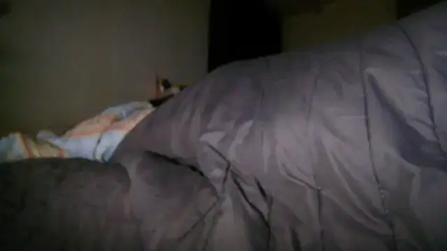 Chatroom XXX en direct de fntbzh56