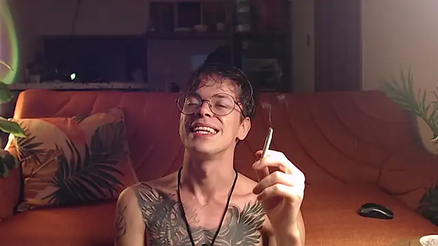 William_Henry_のウェブカメラショー