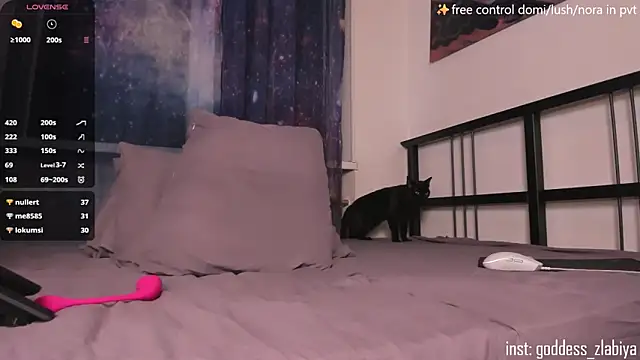 Chat +18 de zlabiya_ ao vivo