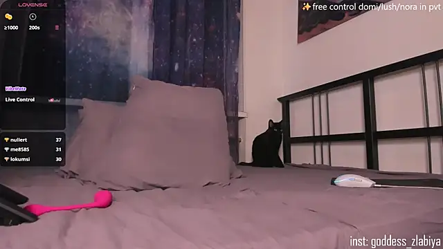 zlabiya_n Webbikameraesitys