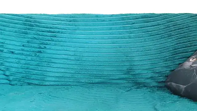 Andra_Love 即時 XXX 聊天