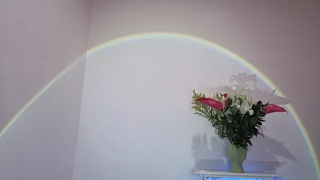 Chat +18 de Qadeshoficial ao vivo